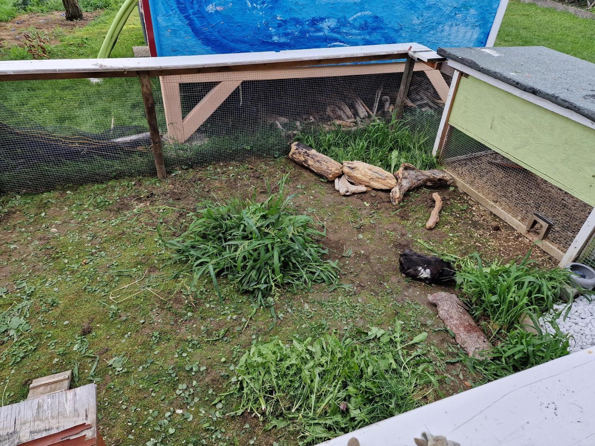 Ferienwohnung Ingrid Kressbronn am Bodensee Eksteriør bilde